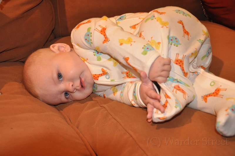 William's Twenty-Third Week 64.jpg